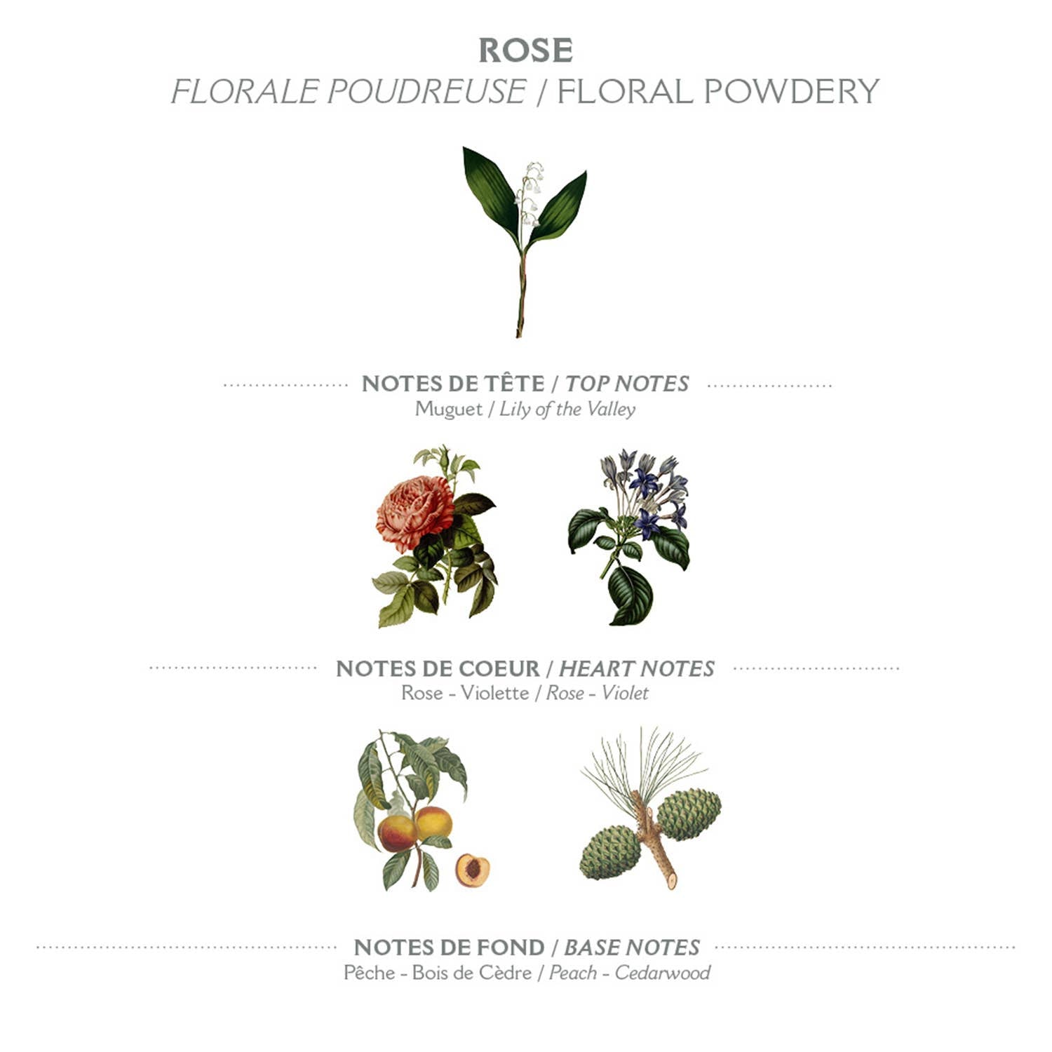 Panier des Sens – flytende Marseille-såpe 500 ml - Rose