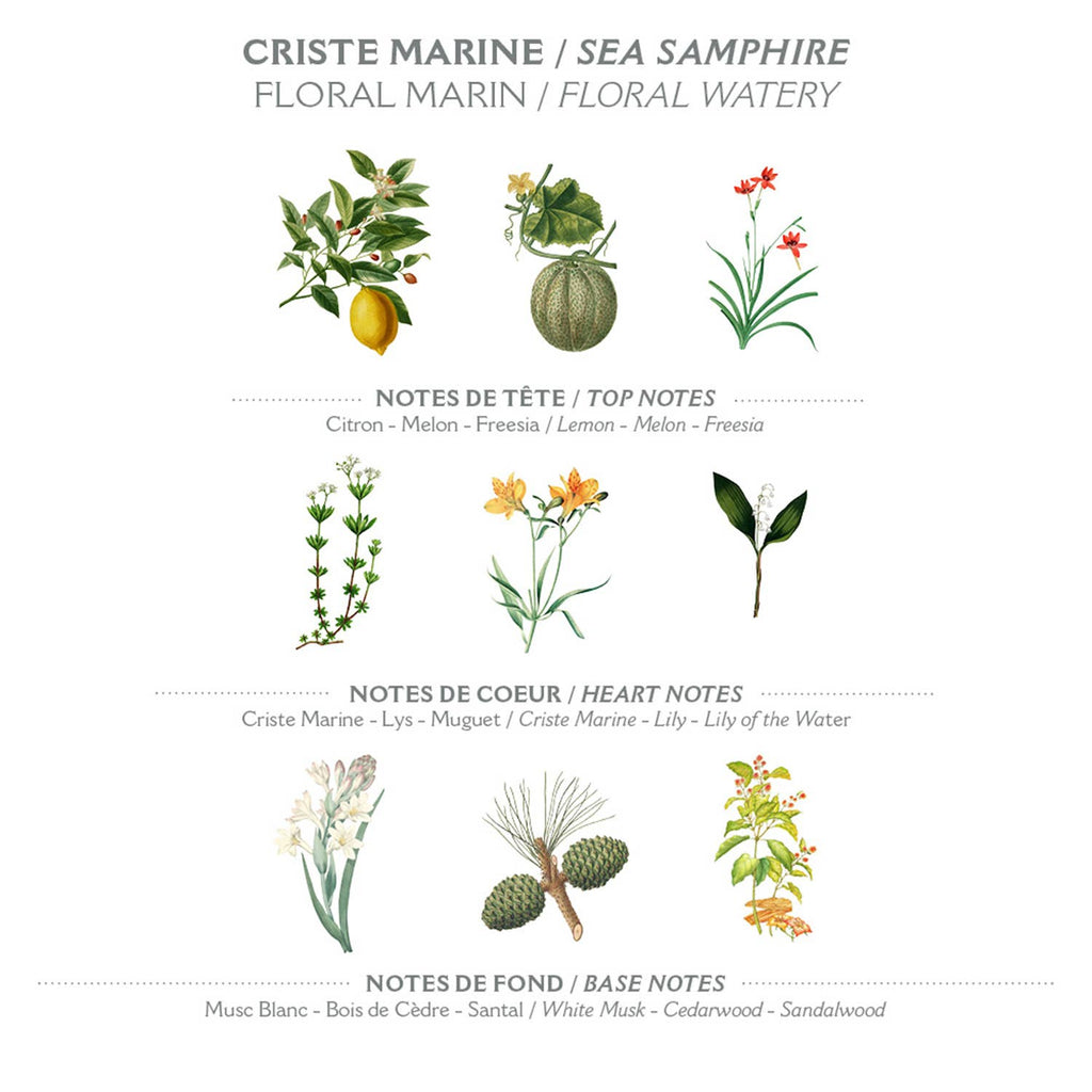 Panier des Sens håndkrem 30 ml - Sea Fennel
