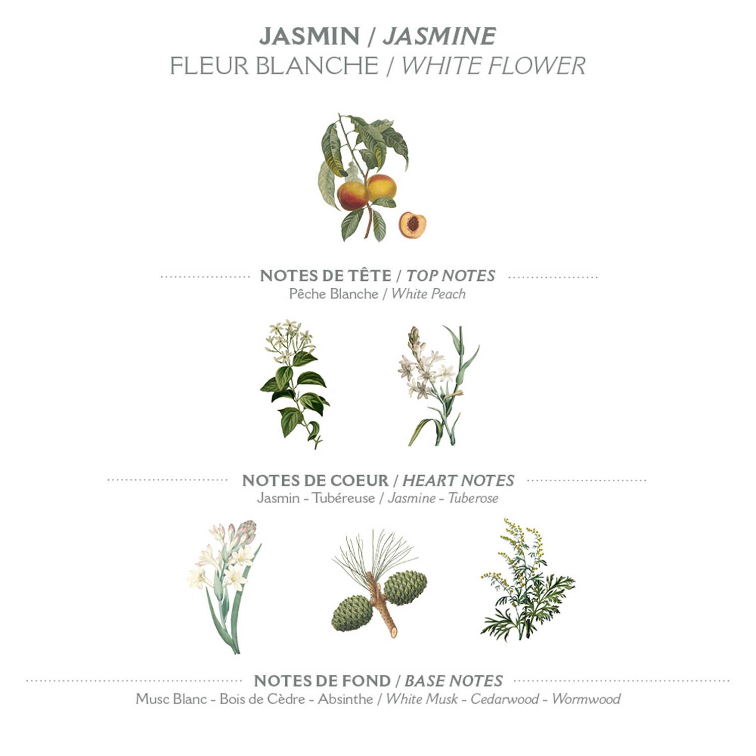 Panier des Sens – Marseille såpe 500 ml – Jasmin