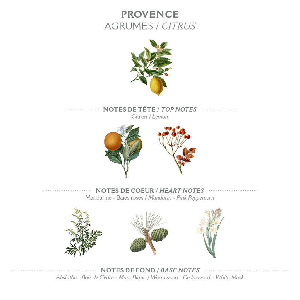 Panier des Sens  Håndkrem 75 ml – Provence