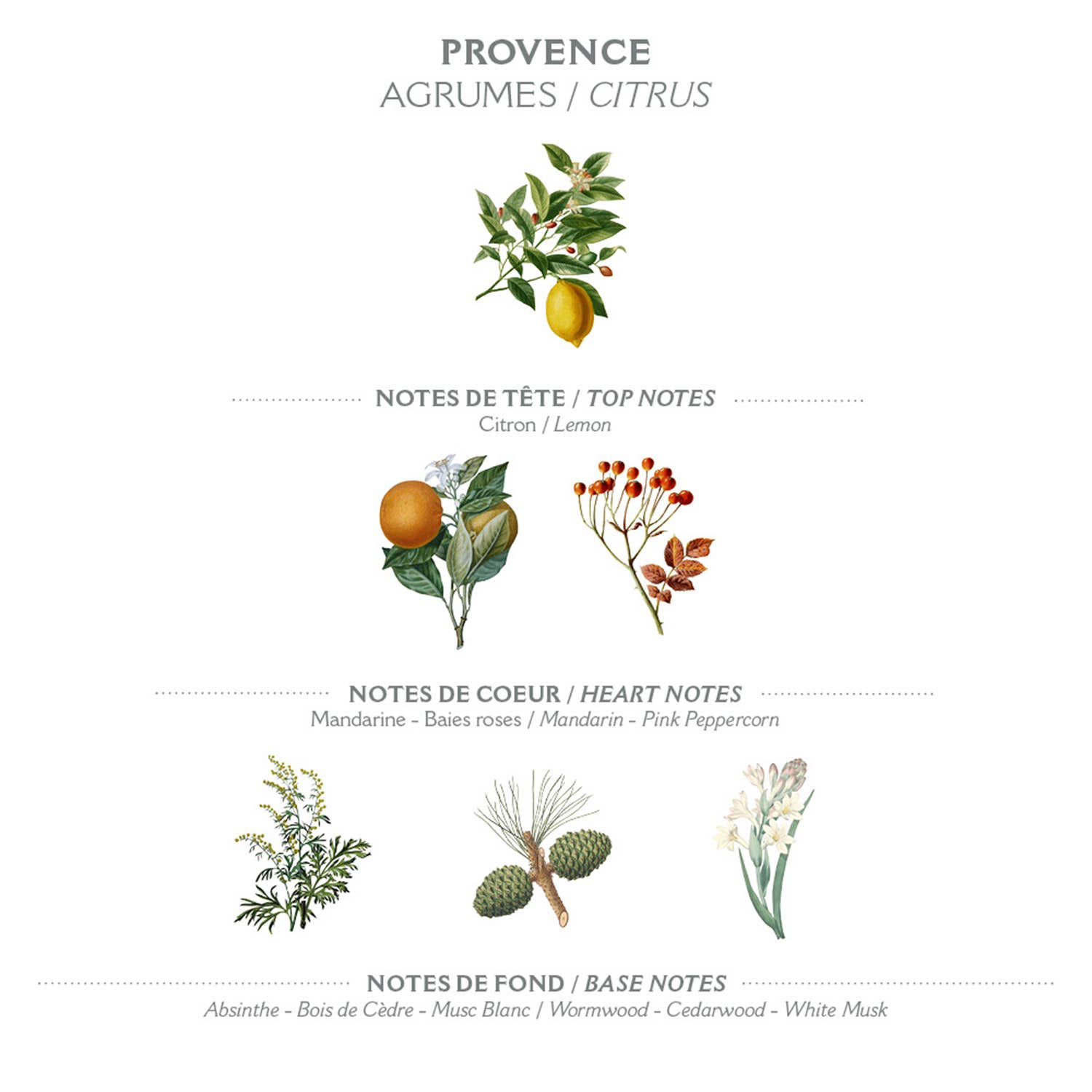 Panier des Sens  Håndkrem 75 ml – Provence