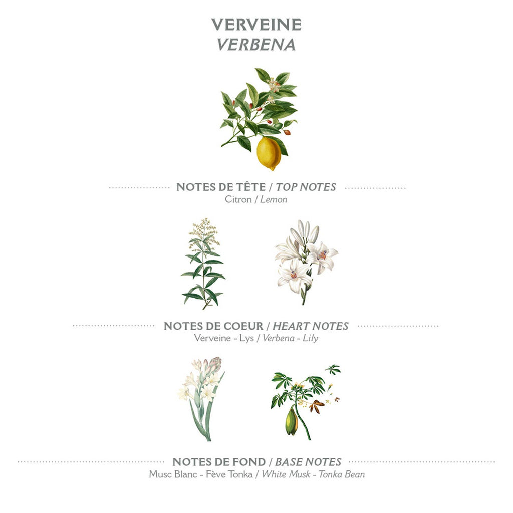 Panier des Sens flytende Marseille-såpe 500 ml-Verbena
