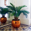 Leaf Design UK LTD – Kunstig cykaspalme 80 cm