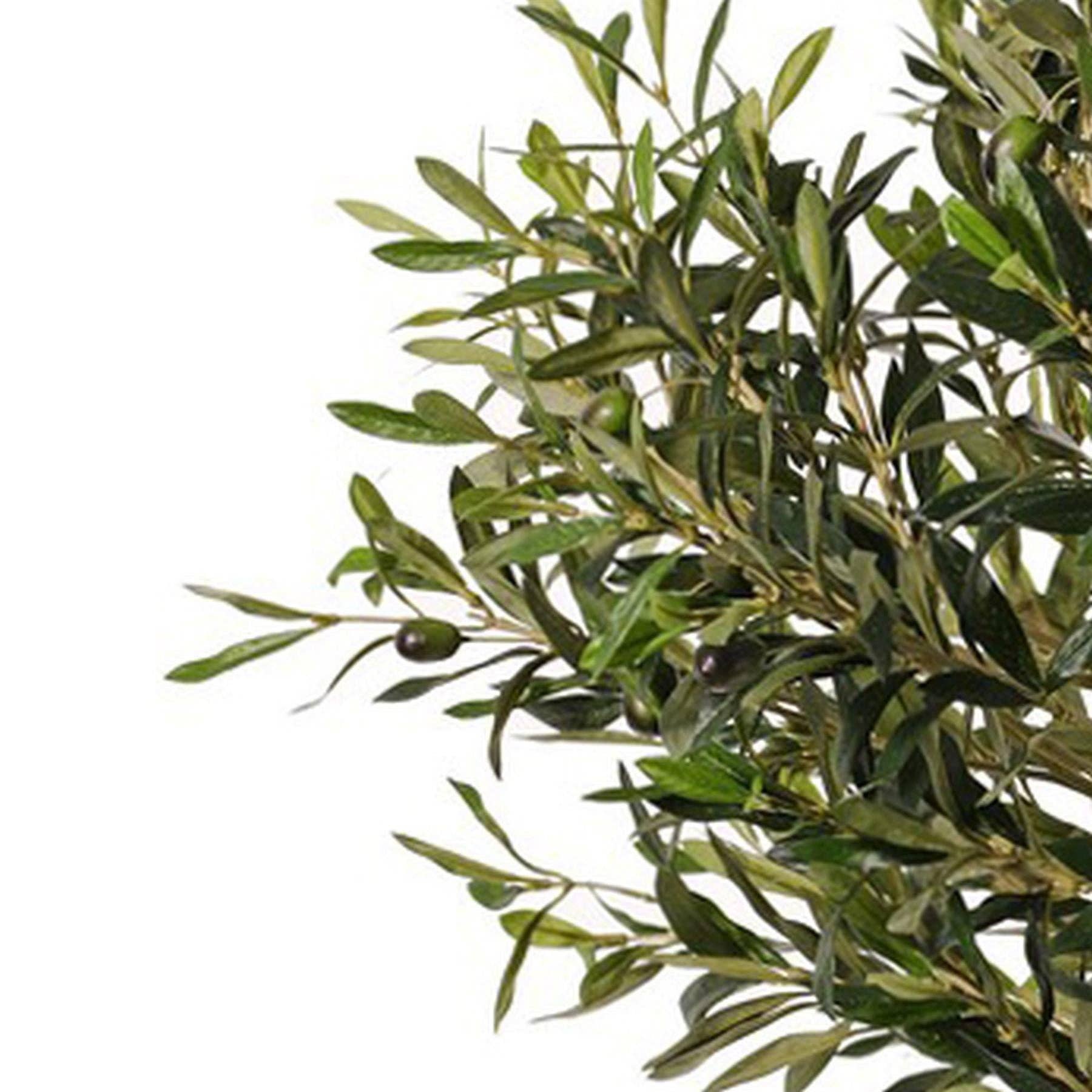Leaf Design UK LTD – Kunstig oliventre 90 cm