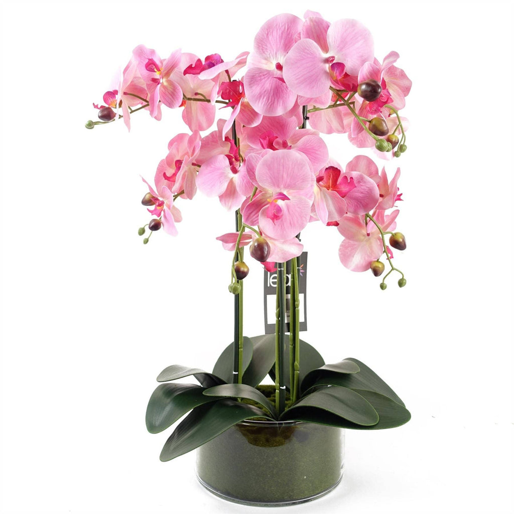 Kunstig Rosa Orkidé i Glasspotte 50 cm